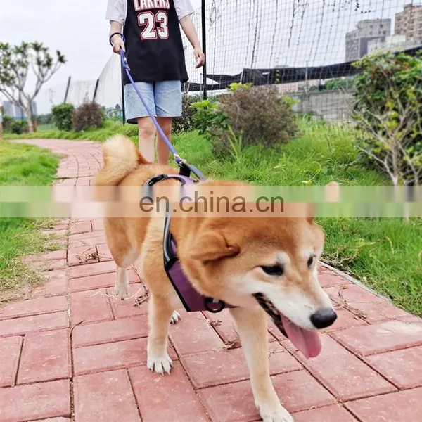 Multifunction Dog Walking Leash Handsfree Dog Leash Original Design photo-2