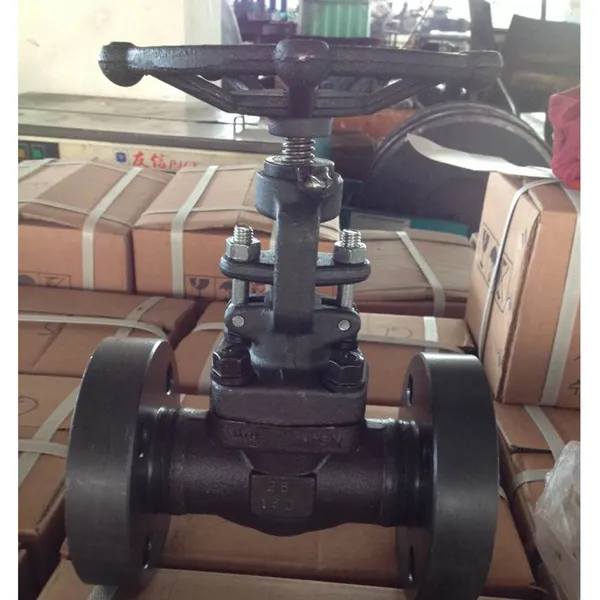 Class800 ANSI Forged Gate Valve for Steam System With OS&Y Rising Stem Structure photo-3