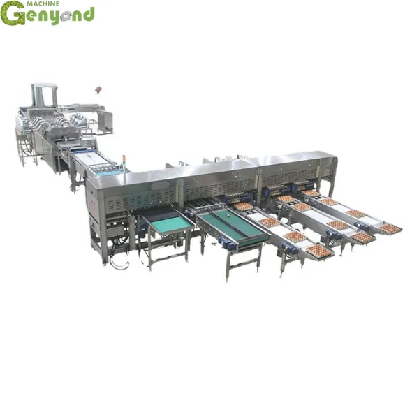 Factory Eggs Washing Boiling Peeling Machine Whole Line/ Complete Set of Egg Processing Equipment