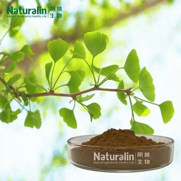 Ginkgo Biloba Extract photo-3