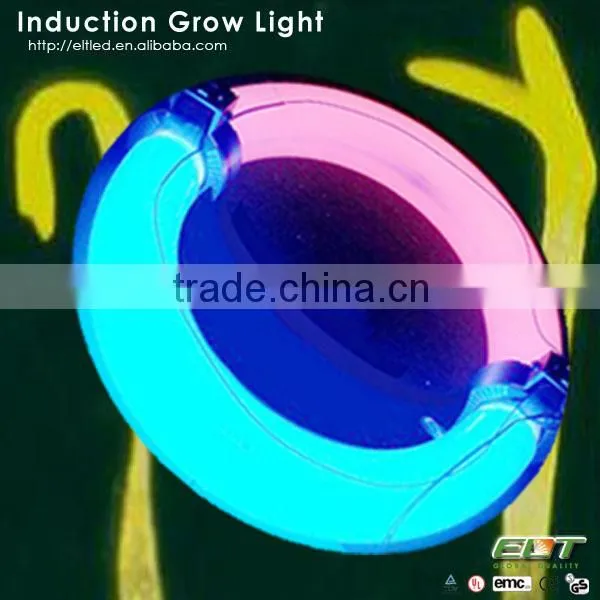 Latest Design Plant Grow Induction and Hydroponic Led Grow Light