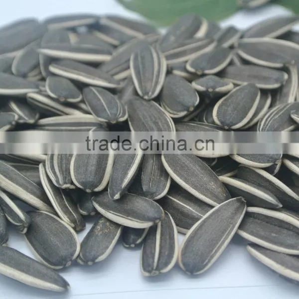 Sun Flower Seeds Kernel Bakery and Confectionary photo-2