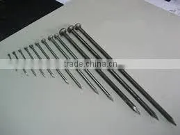 Common Nail Iron Nail