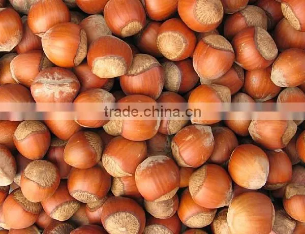 100% Organic and Natural Hazelnuts photo-3