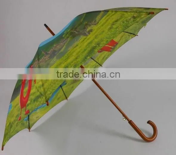 23 Inches Wooden Handle Special Umbrella photo-3