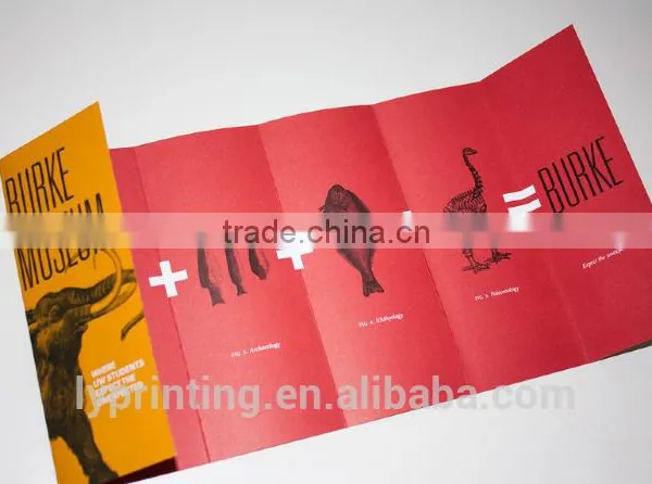 Cheap Boolet Printing Brochure Printing A4 Flyer Printing photo-5