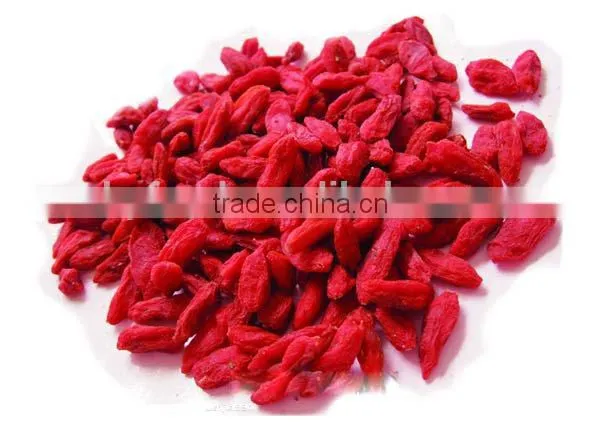 Nutrient-dense Goji Berry