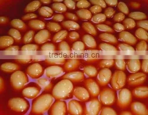 FDA KOSHER Canned White Kidney Beans in Tomato Paste photo-3
