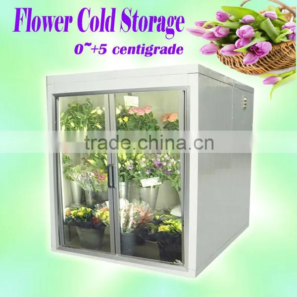 Display Cold Room for Flower photo-6