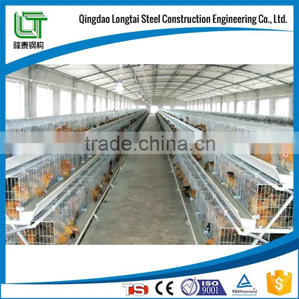 Cheap Broiler Poultry Farm House photo-6
