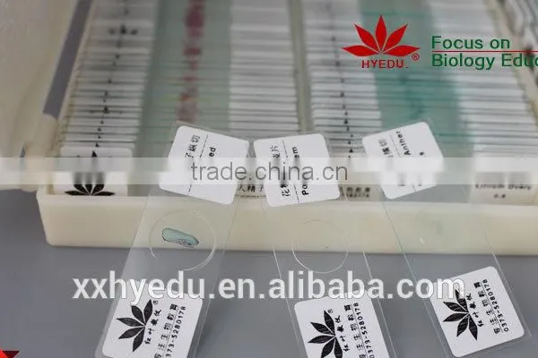 200kinds Prepared Slides , Mixed Glass Prepared Slides photo-4