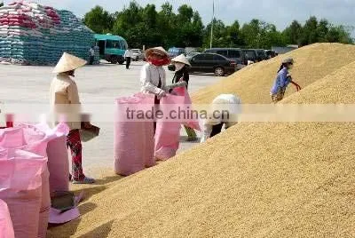 VIETNAM WHITE RICE LONG GRAIN 15% BROKEN photo-3
