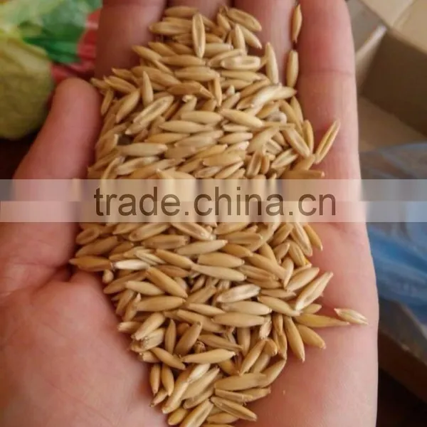 OATS photo-2
