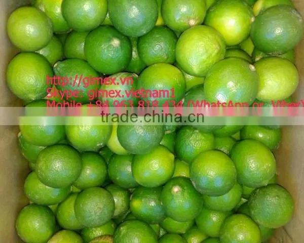 FRESH SEEDLESS LIME photo-5
