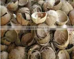 Tamilnadu Coconut Shell