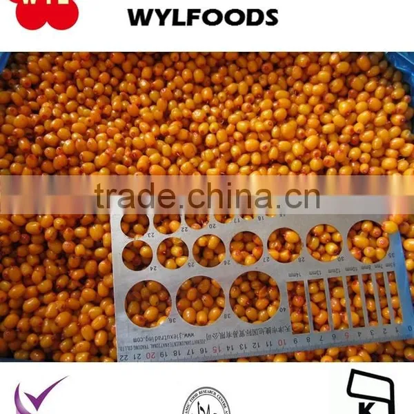 New Seasion Frozen Sea Buckthorn Fruit photo-2