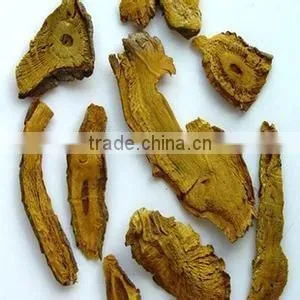 GMP Natural High Quality Tran-Resveratrol/Giant Knotweed Extract Powder photo-5