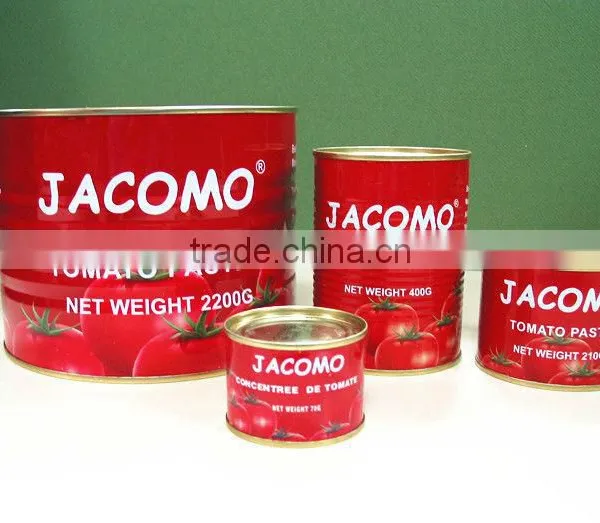 Concernate Tomato Ketchup Production photo-2