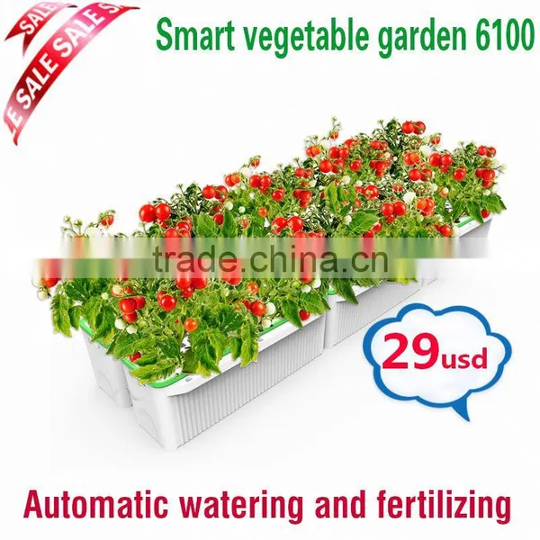 Wholesale Hanging Green Plants for Pots Hanging on the Wall