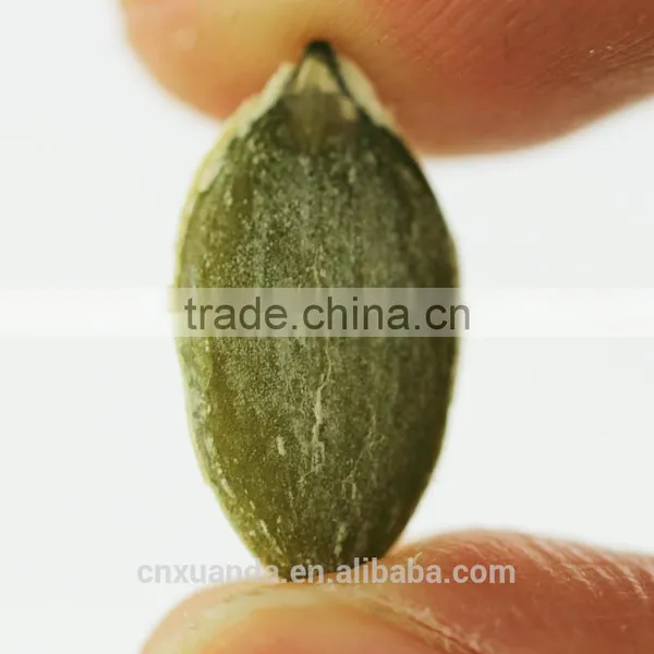 China White Pumpkin Seeds Price photo-5