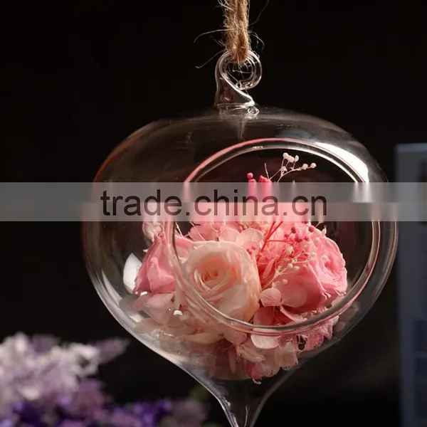 Clear Glass Vase Glass Landscape Bottle 2 Sizes Hanging Available photo-2