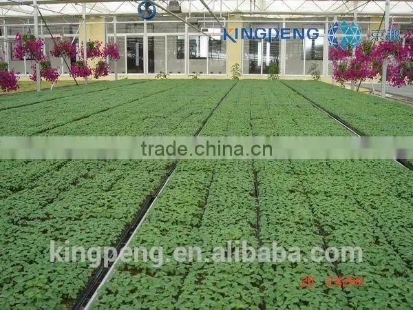 Vegetable Growing Greenhouse photo-3