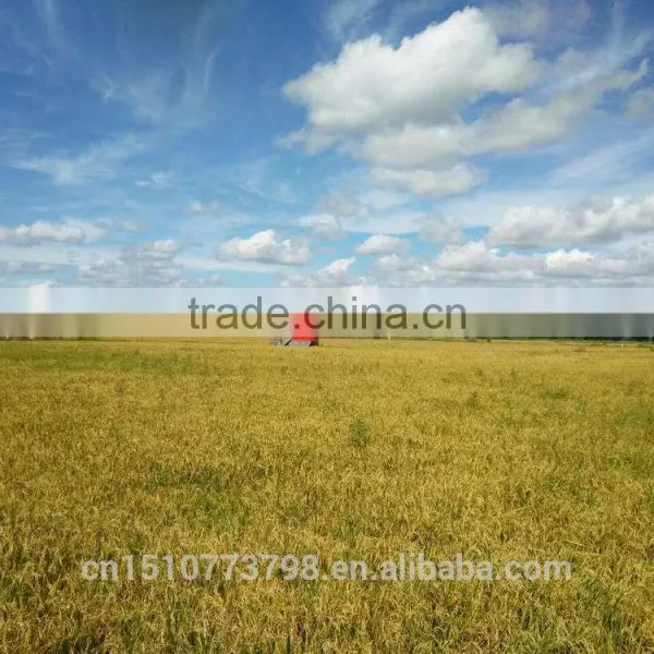 4LZ-3.0 K-BOS Big Tank Combine Harvester photo-4