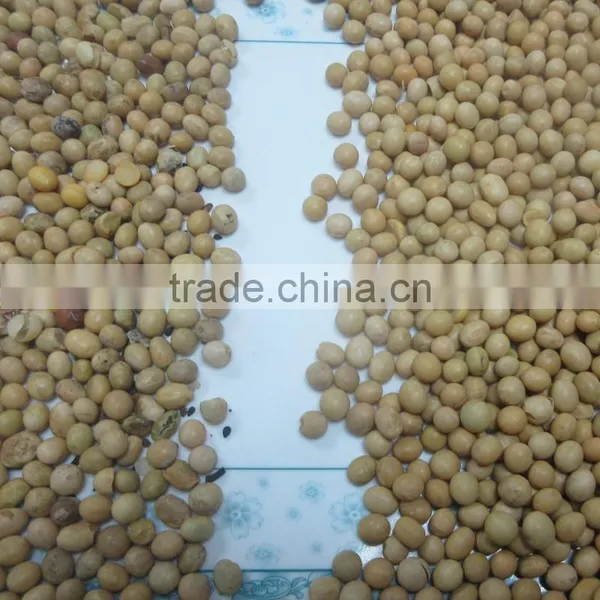 Engineer Oversea Service Available Soybean CCD Color Sorter photo-2
