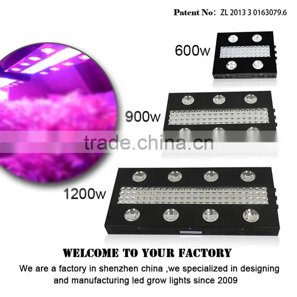 High Power Quality Hydroponics LED Grow Lighting COB Indoor Growing Light photo-3