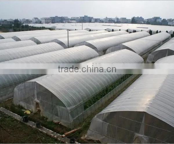 New Style Agricultural Greenhouse for Grawing Vegetables