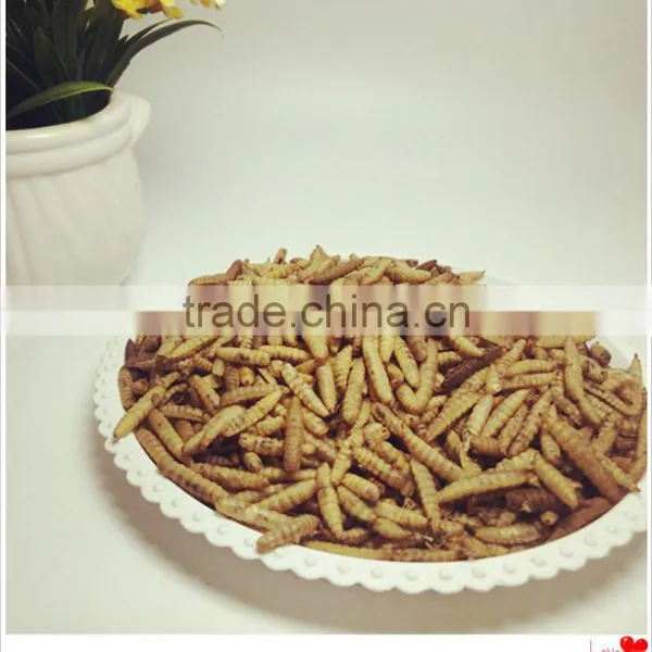 Dried Hermetia Larvae - Black Soldier Fly Larvae photo-2