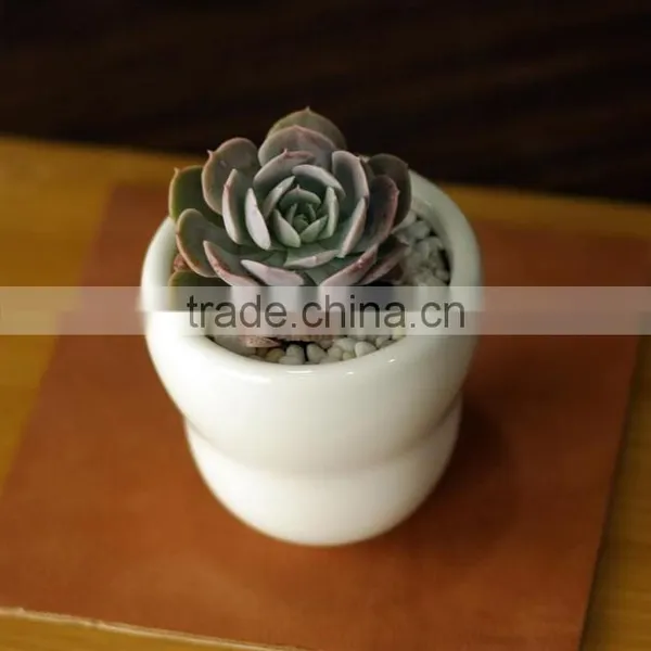 Indoor Decorative White Glazed Small Ceramic Planter photo-2