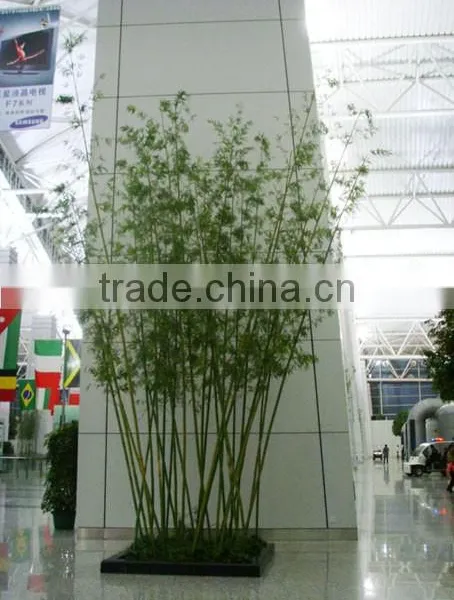 SJWS2015032404 Guangzhou Manufacturer Whole Sell Customized Garden Decoration Artifcial Fake Bamboo Tree photo-6