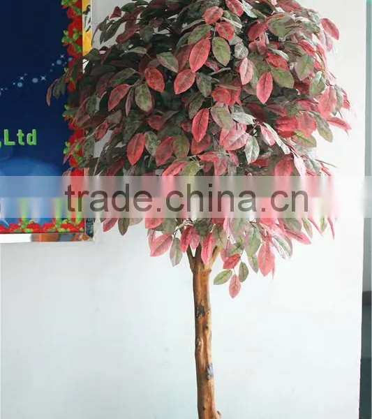 Home Garden Decoration 100cm to 1000cm Height Artificial Indoor Live Plastic Ficus Red With Green Palm Tree EZLS05 1006 photo-6