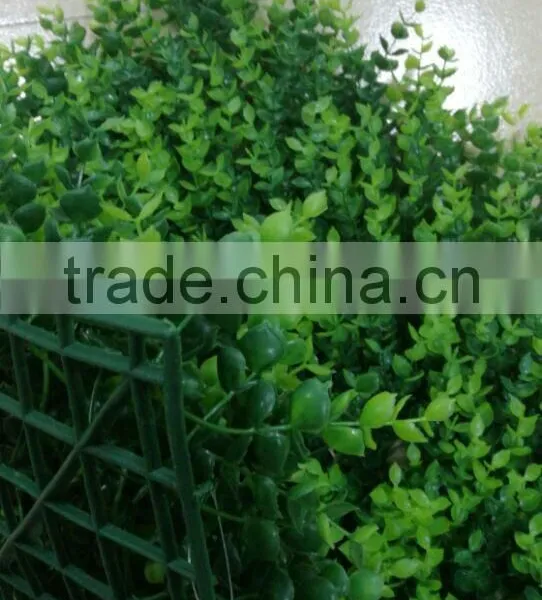 Artificial Boxwood Carpet Artificial Grass Carpet for Balcony photo-2