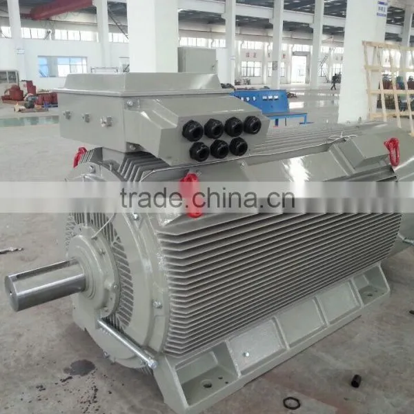 6KV High Voltage Electric Motor photo-4