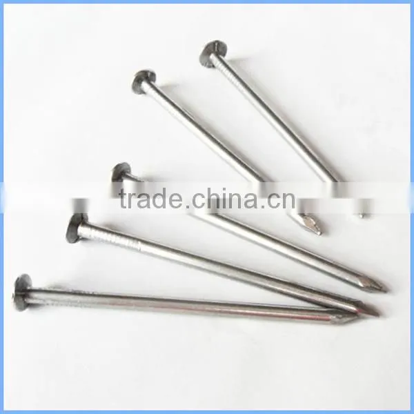 Hot Dipped Common Iron Wire Nails Wood Nail photo-2