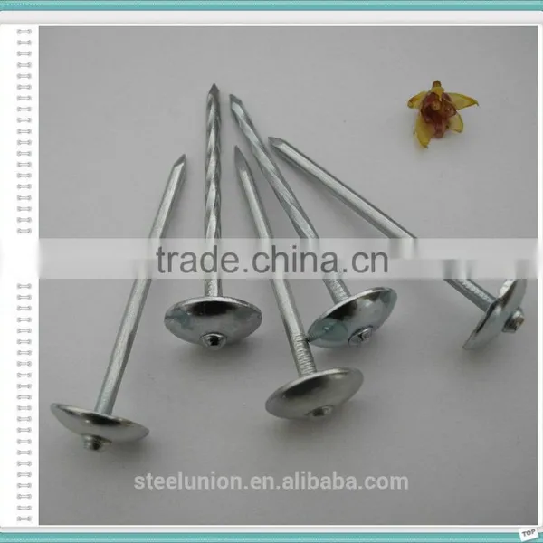 Roofing Nails Umbrella Head/Galvanized Roofing Nails Price/Roofing Nails photo-3