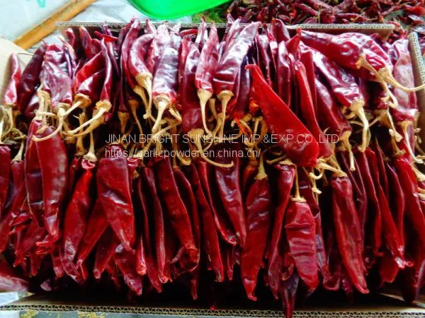 YIDU CHILLI Whole in 25LB Bag for Mexico and USA