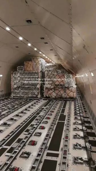 International Air Transport CAN、SZX、HKG、PVG、 --LAX、JFK、ORD、MIA、