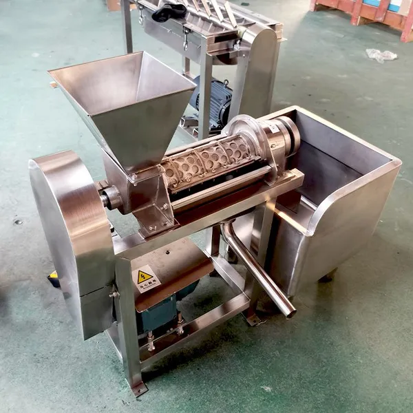 Industrial Fruit and Vegetable Spiral Automatic Juicer, Stainless Steel Fruit Extraction Machine photo-3