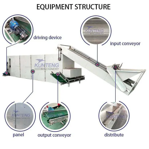 Continuous Mesh Vegetables and Fruits Peanuts Drying Equipment photo-2