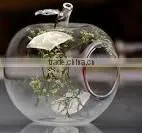 Apple Shape Hanging Glass Terrarium