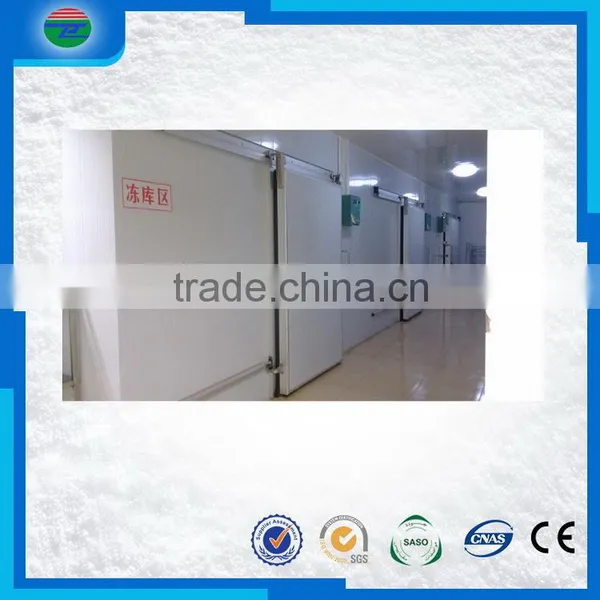 Bottom Price Good Quality Fresh Fish Blast Freezer/cold Storage/cold Room Price photo-4