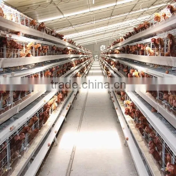 High Quality Commercial Chicken Cages/cheap Folding Cage/rabbit Cage photo-3
