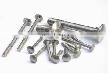 China Supply High Quality Hardware Stainless Steel Carriage Bolt photo-3