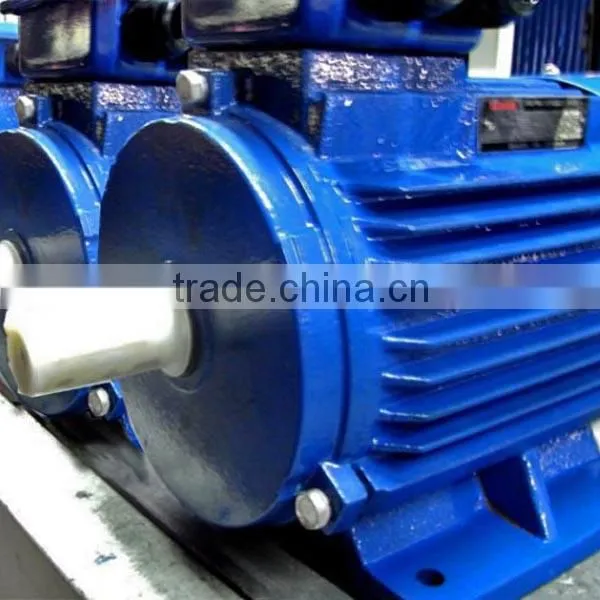 Y Series THREE PHASE Induction Electric Motor FROM 0.2kw TO 200kw Hot Sale for Industrial Use photo-6