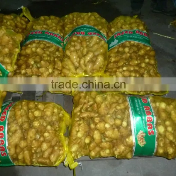 Chinese Fresh Ginger photo-2