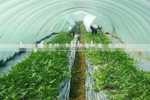 PE Agriculture Greenhouse Film photo-2