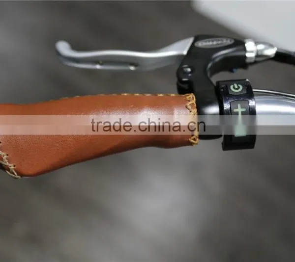 Green Power Electric Bike Classic 5, High Speed Electric Bike photo-4